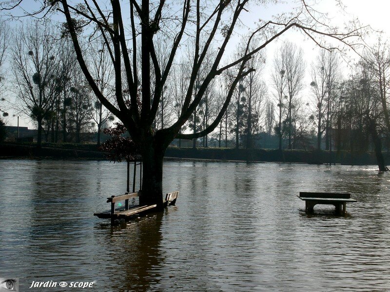 A Noyen-sur-Sarthe la rivière sort de son lit…