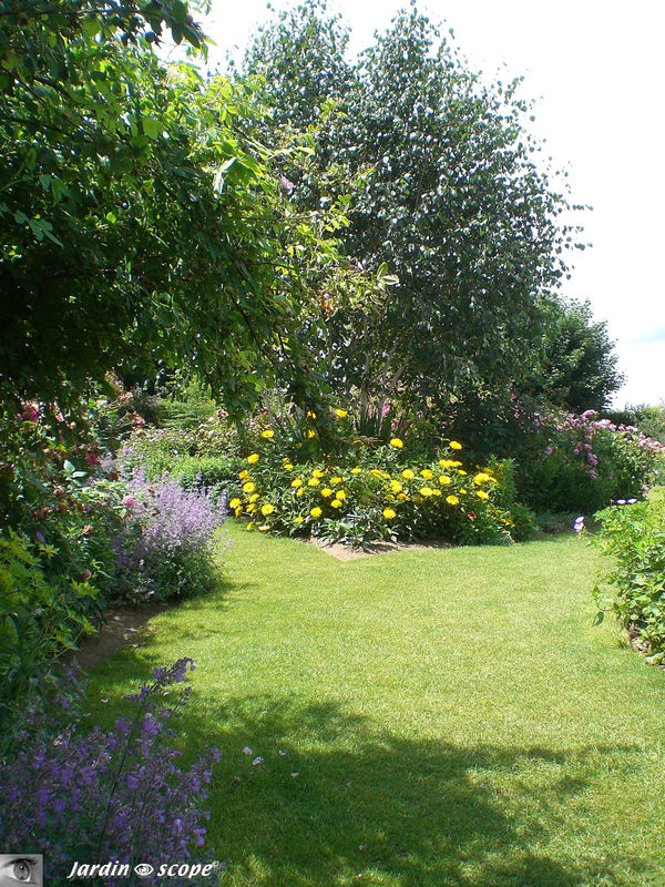 La roseraie en juin 2009