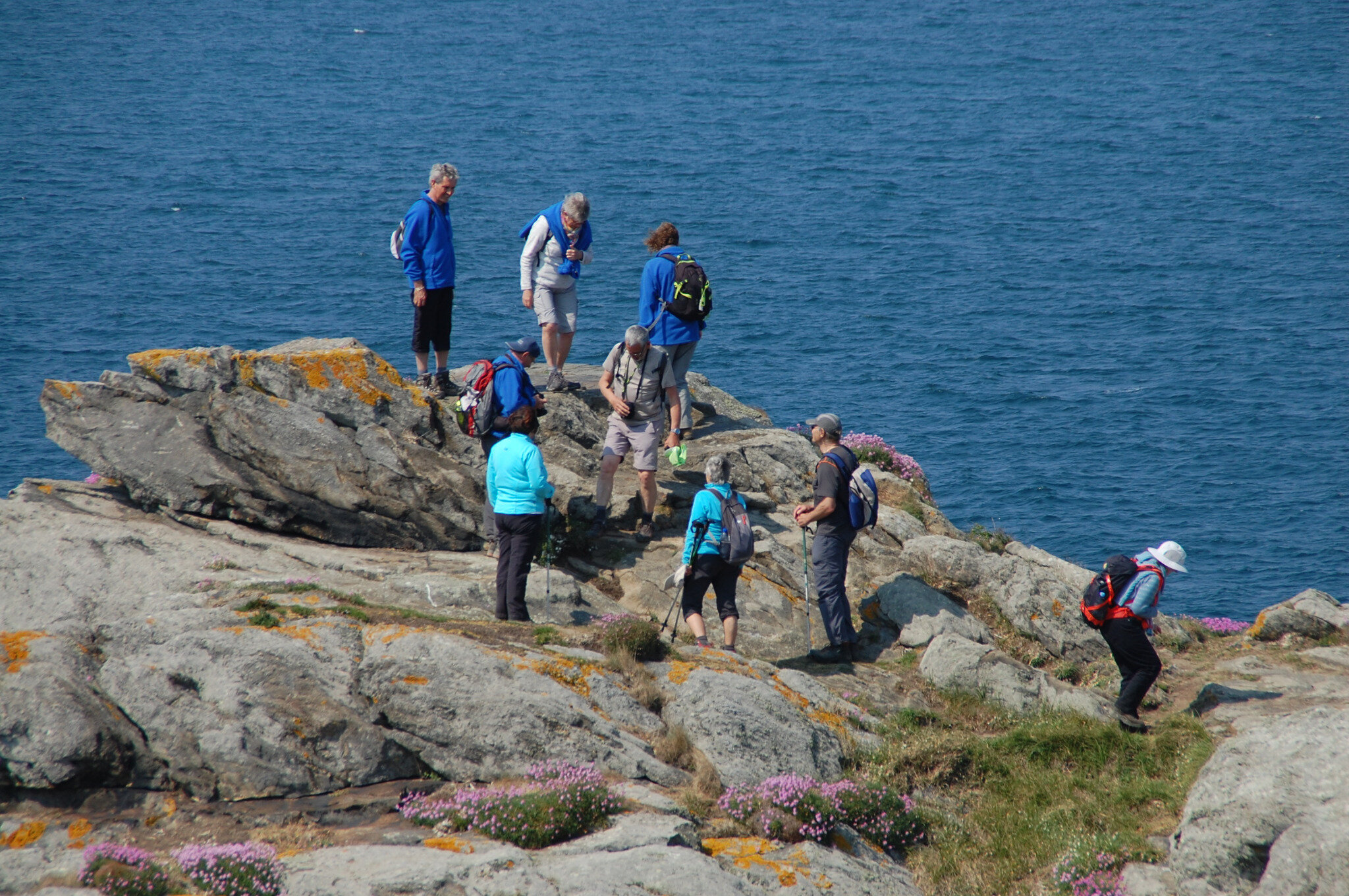 Roz sur Couesnon 1 (5)