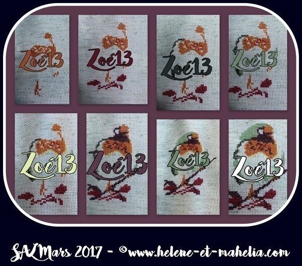 zoé13_salmar17_col3