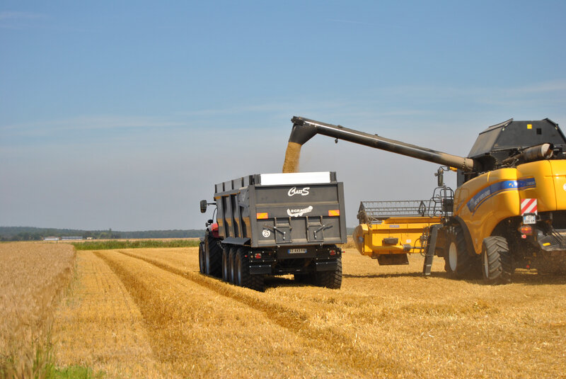 baromesnil moisson ledoux 16-07-2019 001 (56)