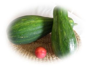 courgetteP8188622