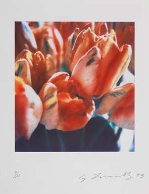 Cy Twombly Photographs【最終値下げ】 The J. Paul Getty Museum acquires 29 photographs by prolific