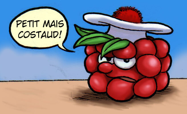 PETIT_MAIS_COSTAUD