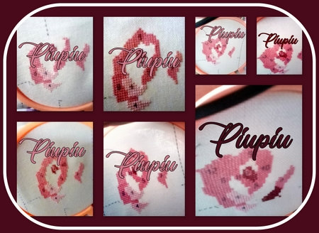 piupiu QB_emotions_salmai23_col2