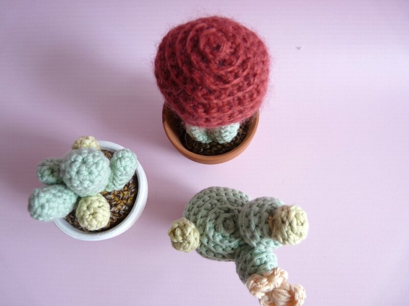cactus crochet 08
