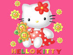 hello_20kitty