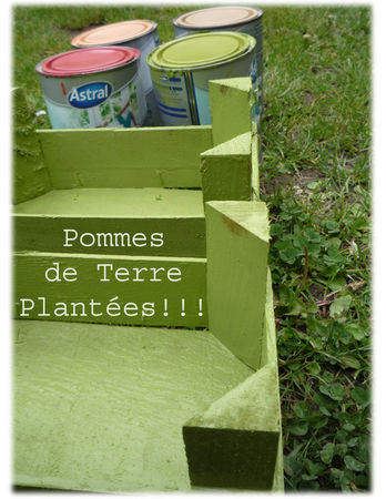 pommes_de_T