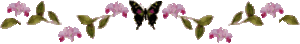 38795189_p
