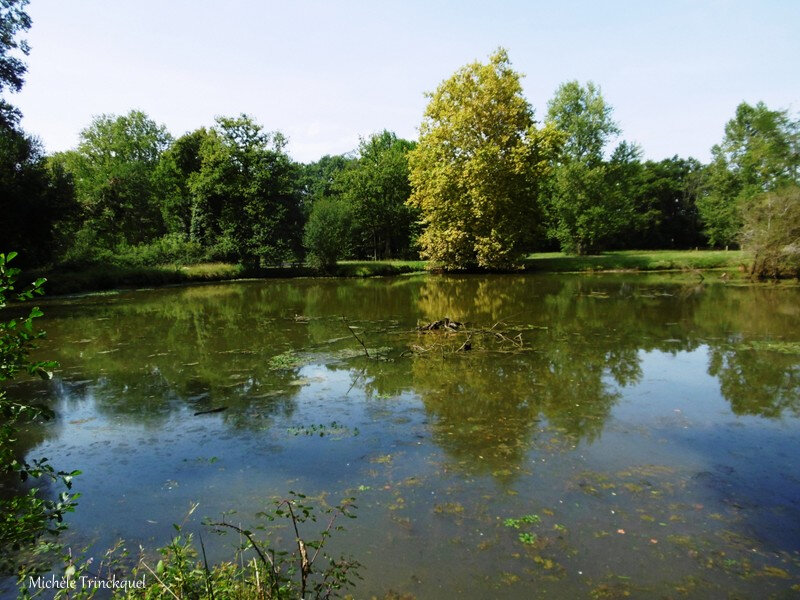 Etangs des Gravières 300818