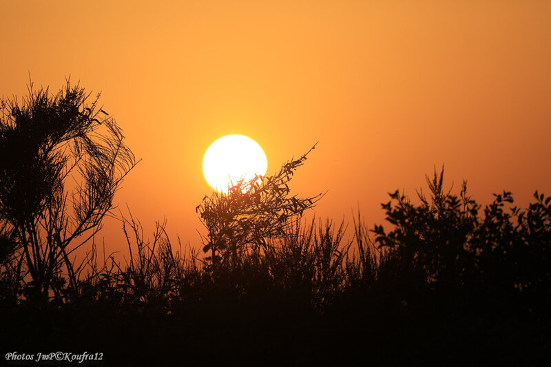Photos JMP©Koufra 12 - Cornus - Combelandes - Eolienne - coucher de soleil - 28062019 - 0155