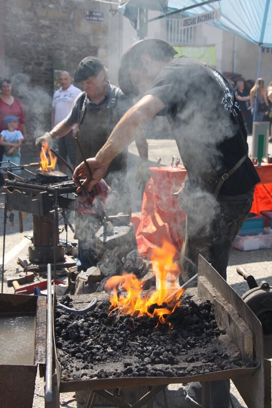 forge 3st martin 2015