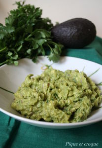 guacamole_1