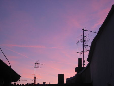 Photo_008