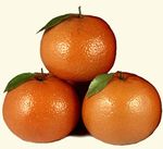 Mandarin_Oranges