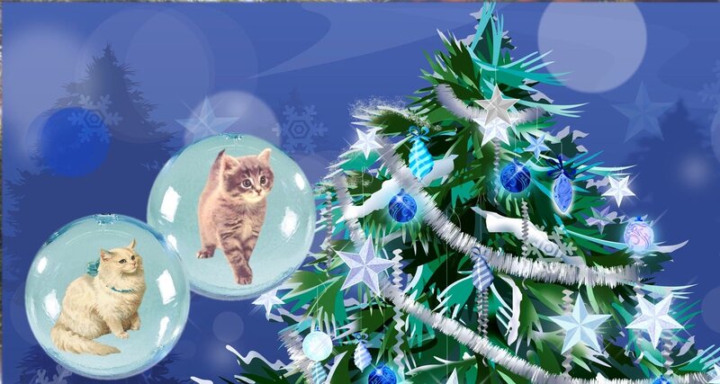 carte_2_chats_sapins_de_noel