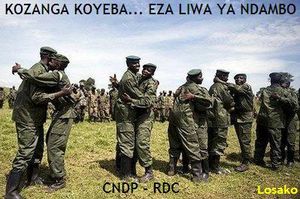 cndp_fardc1