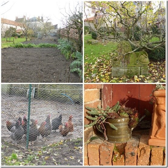 jardin 14 décembre 20206