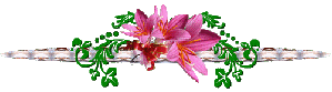 Gif barre argent et bouquet lys rose foncés 299 Pixels