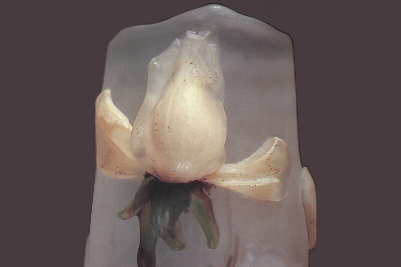 6-Daum - La Rose