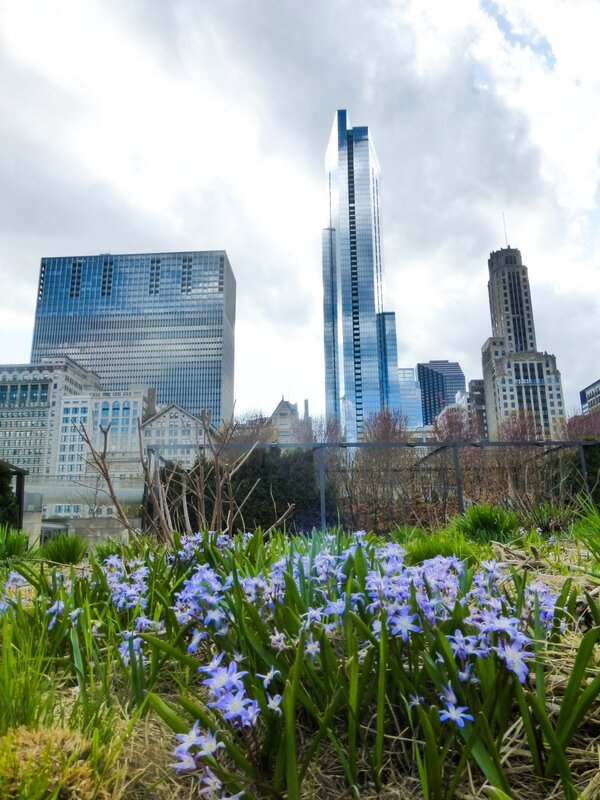 Le Lurie Garden qui propose une végétation changeante en fonction des saisons...