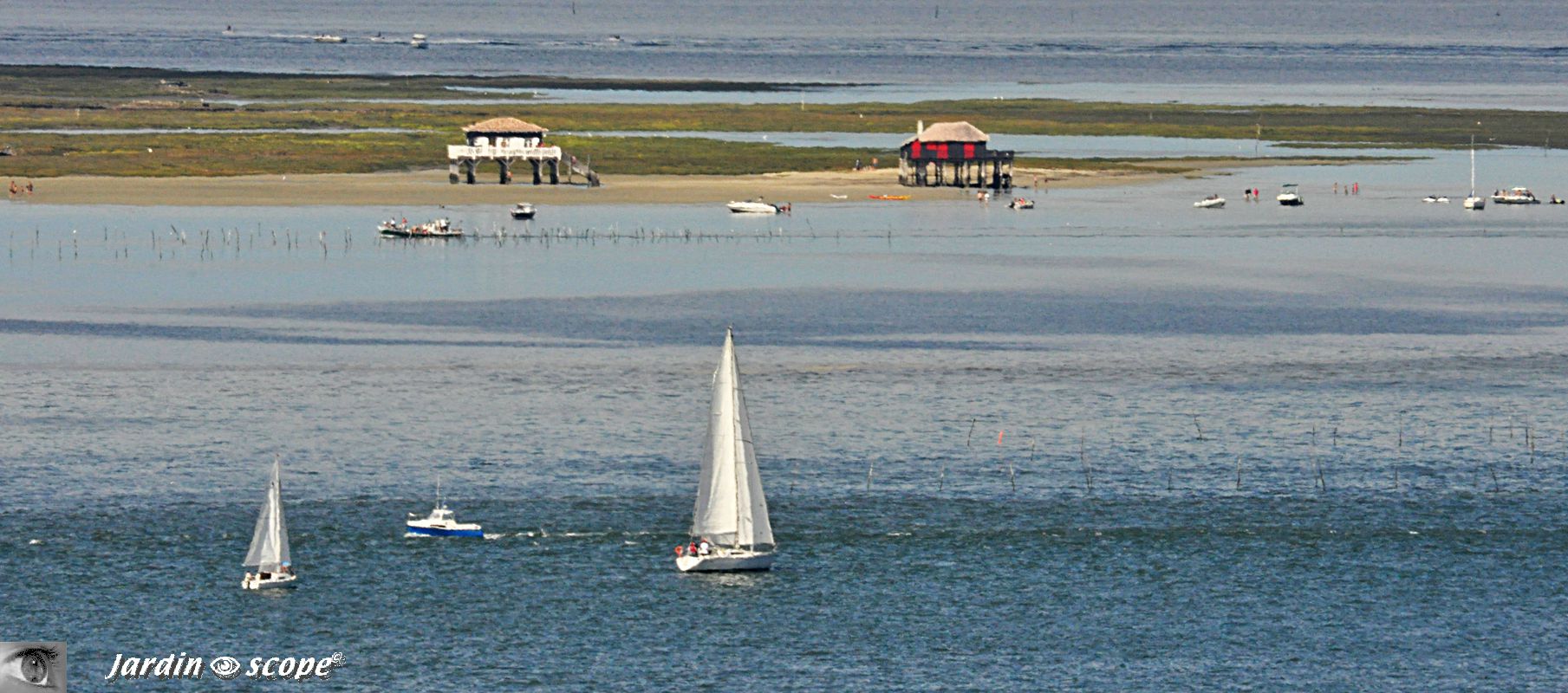 Cabanes tchanquées sur l'île aux oiseaux de Bassin d'Arcachon