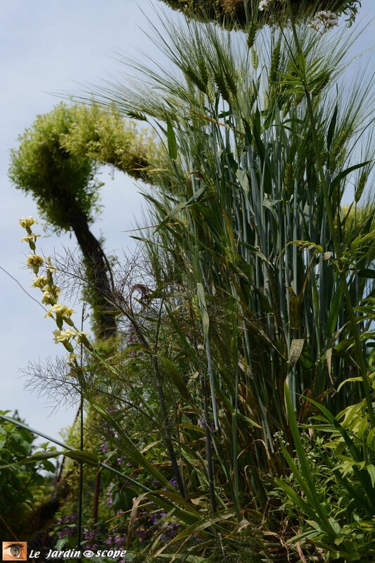 7-Le-jardin-flottant-des-songes-2