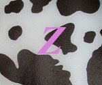 Zaza