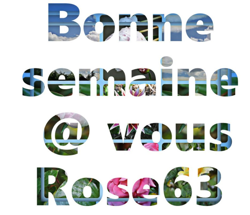 Bonnesemaine@ vousRose63
