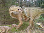 20080420___125s193_Visite_au_Dinosaures_Park