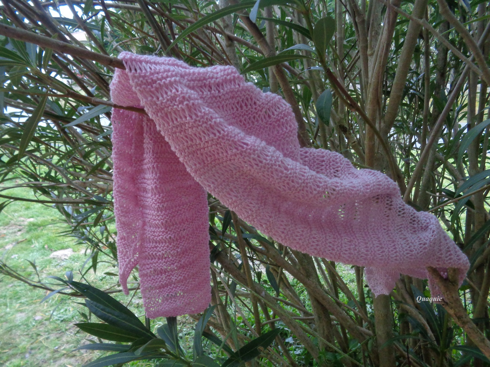 pour Anaïs