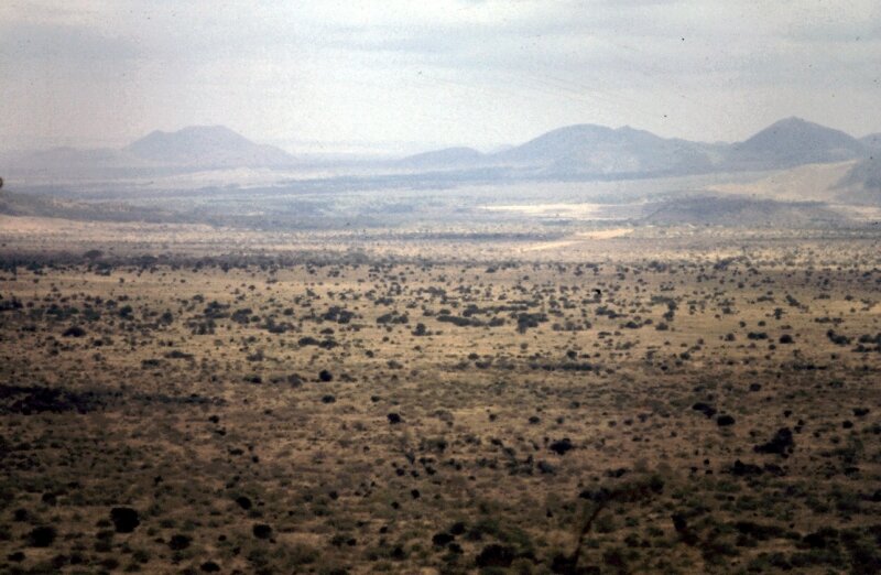 amboseli r paysage a