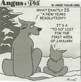 bonnes_resolutions