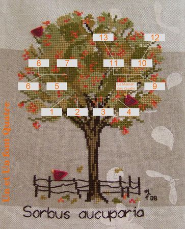 arbre_g_n_alogique