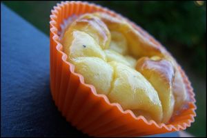 **Petits Flans Au Chèvre Frais Et Au Confit DOignons** recettes **Petits Flans Au Chèvre Frais Et Au Confit DOignons**