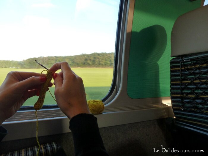 55 Train crochet paris