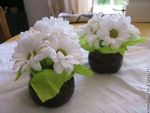 marguerite2