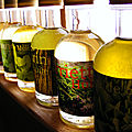 Collection herbacées <b>aromatiques</b> - La Nature s'invite à la table
