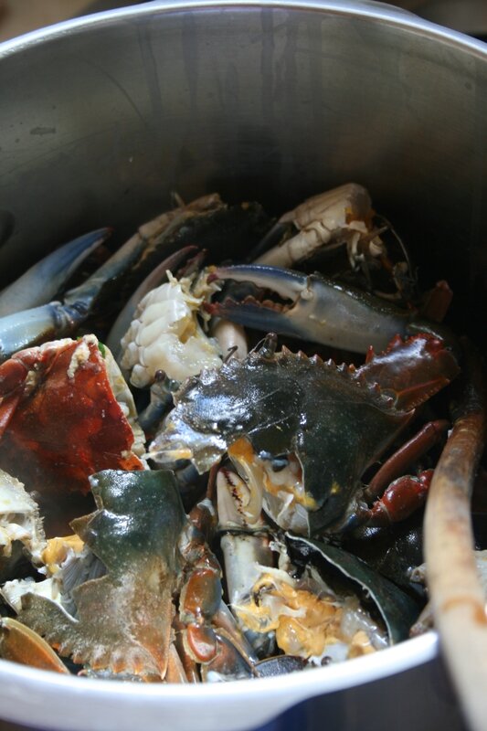 crabe sirik - passion culinaire