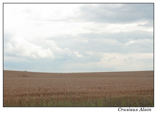 campagne_soignies_2012_07_30__17