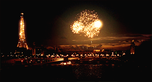 happy new year bonne annee