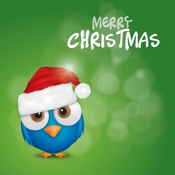 merry_christmas_bird_2013