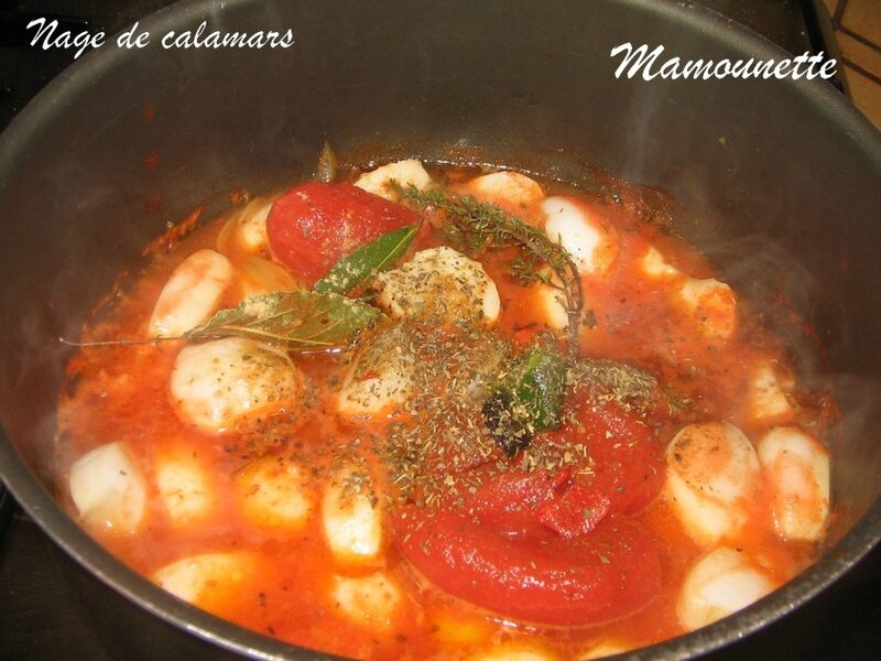 Nage de calamars et son riz basmati 008