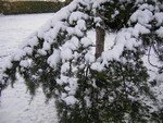 photo_blog_013