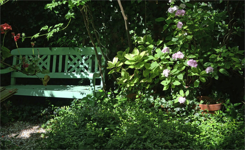Jardin tonnelle MG 5 080620