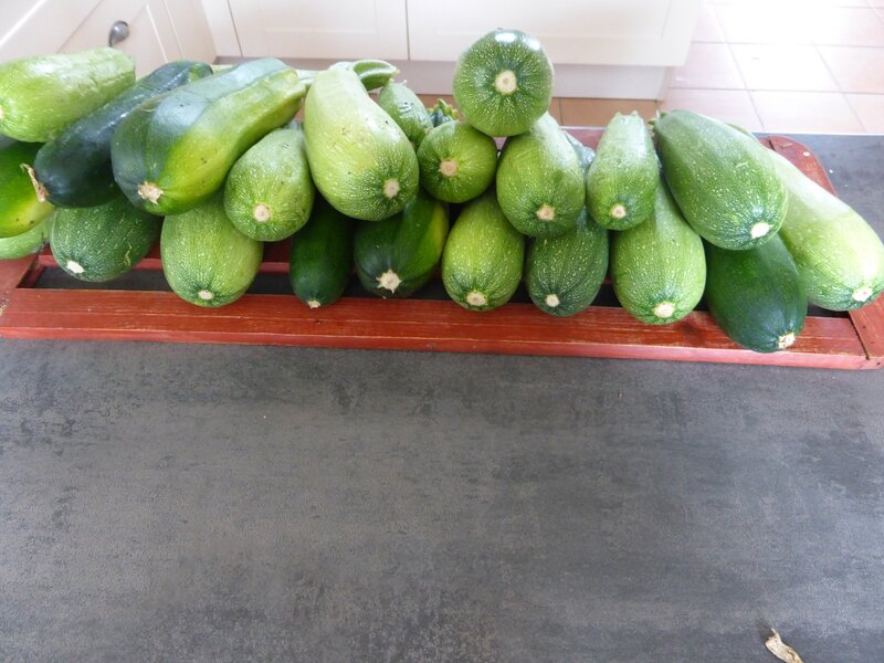 8-courgettes (3)
