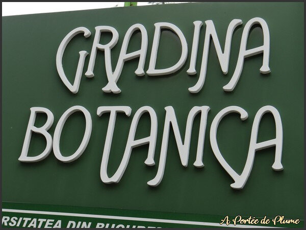 Gradina Botanica 1