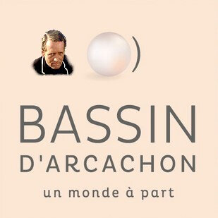 logo-nouveau-3-bassin-darcachon