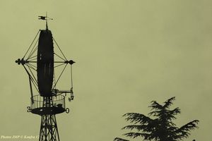 IMG_0198 b