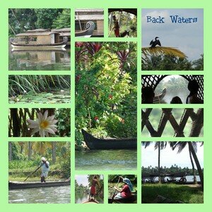 Back_Waters